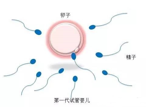 心理科